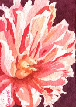 "In The Pink" by Beth Scott, Mount Horeb WI - Watercolor